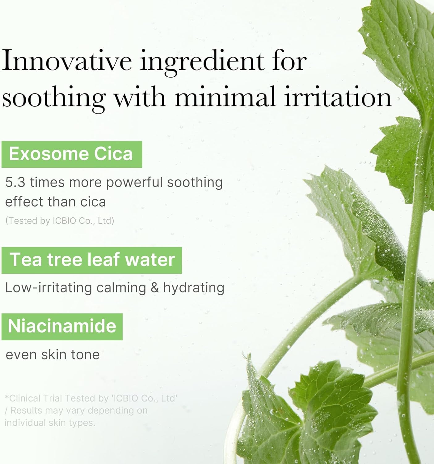 Exosome CICA Tea Tree Calming Toner Pads